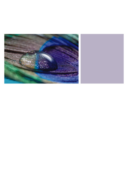 Theme preview