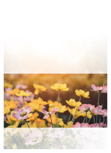 Theme preview