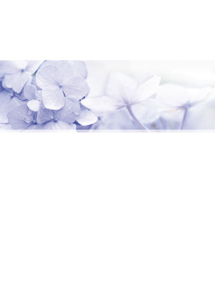 Theme preview