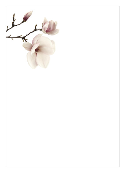 Theme preview